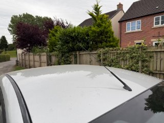 /photos/9732/77f035cb-d32d-4cc6-b4e5-c7e55628642f_i320x240.jpg